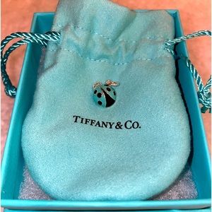 Tiffany & Co. Silver Ladybug Charm